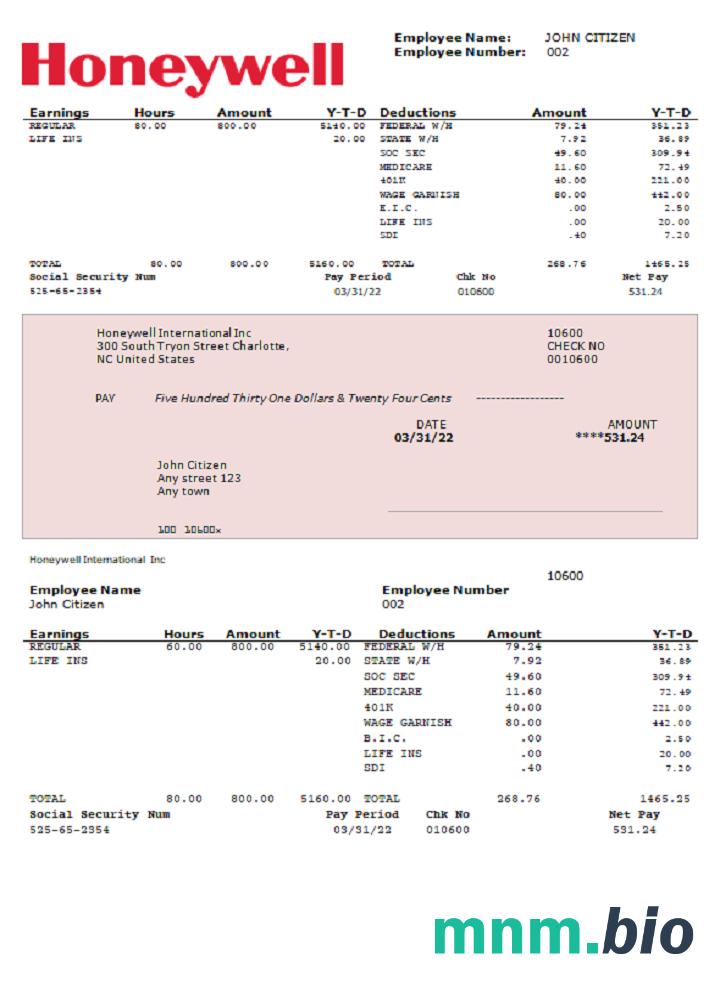 USA Honeywell conglomerate company pay stub PSD